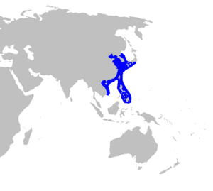 Squalus japonicus distmap.png