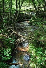 Stream at the Shivering Sands Preserve, Sevastopol, Door County, Wisconsin