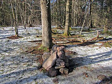 Summit of Eagle Mountain in winter.jpg