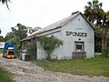 Tarpon Springs FL Meres Sponge Packing House03