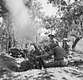 The British Army in Italy 1943 NA6813
