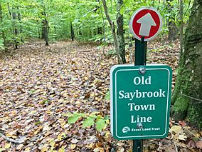 The Preserve Old Saybrook Town Line Essex Land Trust.jpg