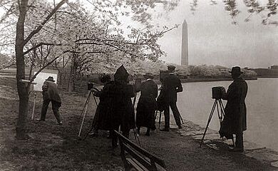 Tidal Basin photographers and painter