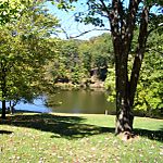 A reservoir viewed from a lawn with a park bench and two trees, with a forested hillside in the background.