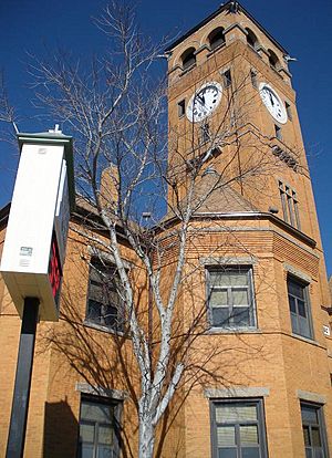 The Macon County Courthouse in Tuskegee was added to the National Register of Historic Places on November 17, 1987