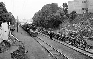 Two tracks at Boston Road, the Main Line and the Loop with train 53 to Helensville (the school train); 13 April 1964