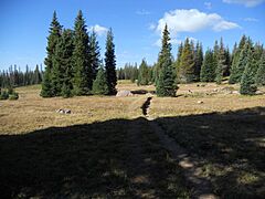 Uinta Highline Trail, Fall Creek Basin, Duchesne County, Utah, USA