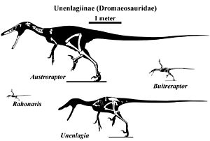 Unenlagiinae