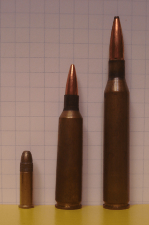 VarmintCartridges