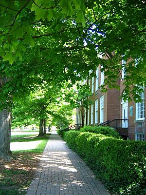 WRA brick row