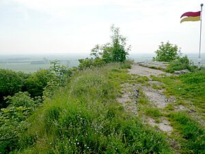 Wallerstein