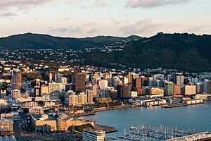 Wellington at dawn