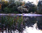 Whitnall park pond - milwaukee.jpg