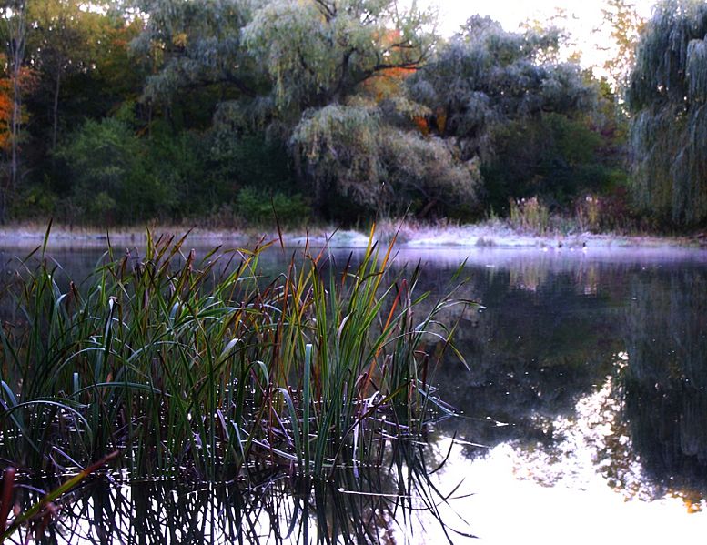 Whitnall park pond - milwaukee