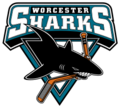 Worcester Sharks