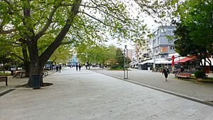 (Κεντρική Πλατεία Ειρήνης) Peace Square Komotini