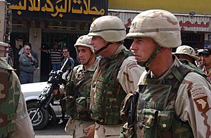 101st Airborne Division - Iraq 01