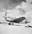 250 Squadron RAF Kittyhawk Egypt 1942 IWM CM 3756
