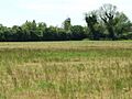 Another Mill - geograph.org.uk - 440981