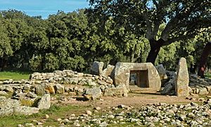 Area archeologica di Pranu Muttedu 02