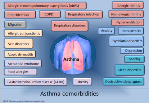 Asthma comorbidities 2