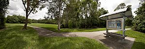 Banks Street Reserve (7114438895)