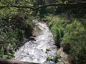 Bepoia river gorge