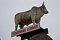 Big Bull of Rockhampton