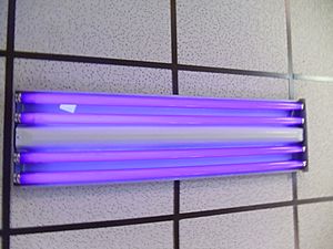 BlackLightBulb4300ppx2