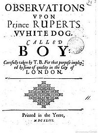Boye pamphlet 1643