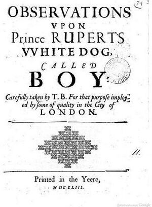 Boye pamphlet 1643