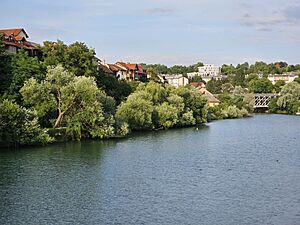 Breg novo mesto