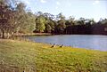 Brisbane-Entertainment-Centre-grounds-1