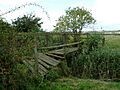 Broken Footbridge in Vange Marsh - geograph.org.uk - 60026