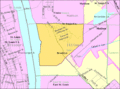 Brooklyn-il-map