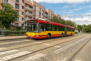 Bus Volvo Wroclaw, 7700A n°8142