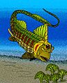 Campbellodus decipiens