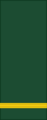 Canadian Army (sleeves) OF (D)