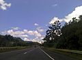 Carretera PR-5, Naranjito, Puerto Rico (1)