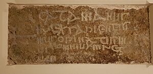 Catamanus Stone, in Llangadwaladr church. November 2018