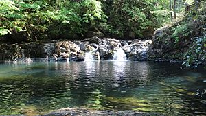 Cavitt Creek Falls Recreation Site (22497563605).jpg
