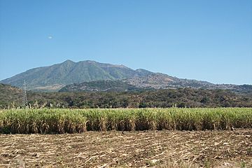 Ceboruco panoramica.jpg