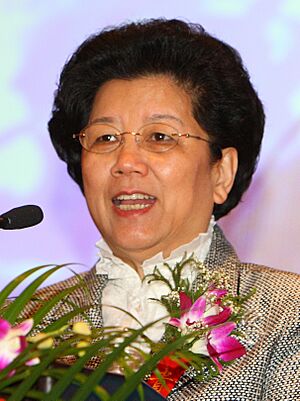 Chen Zhili UNDP 2009