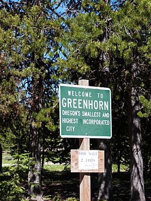 City sign - Greenhorn Oregon