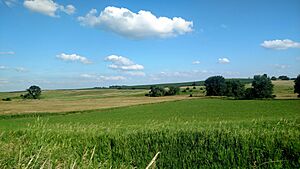 Corinth Township, Iowa farmland