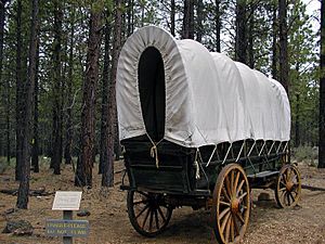 Covered wagon at the High Desert Museum Outside