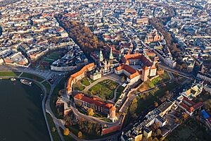 DJI 0352 Wawel