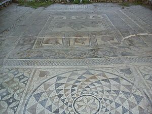 Dion House of Dionysos Mosaic