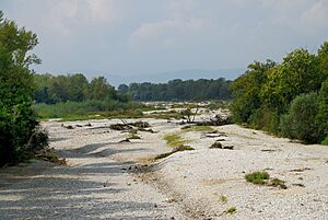 Dry Streambed-Leitha DSC 0016w