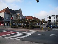 Eeuwenoude Lindeboom - Retie - België.jpg